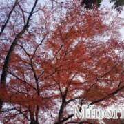 須藤 みのり みのり 京都ホットポイント