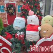 ヒメ日記 2025/12/15 13:06 投稿 須藤 みのり 京都ホットポイント