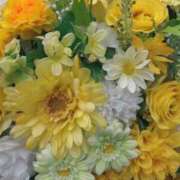 ヒメ日記 2026/04/17 20:45 投稿 須藤 みのり 京都ホットポイント