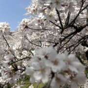 ヒメ日記 2025/04/17 15:48 投稿 寺尾聡美 五十路マダム愛されたい熟女たち岡山店（カサブランカグループ）