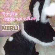 ヒメ日記 2025/12/25 07:32 投稿 みる【FG系列】 マダムFG柏本店