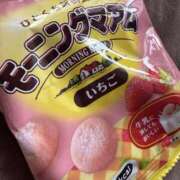 ヒメ日記 2025/06/02 04:33 投稿 まりな 秘密の出張部屋