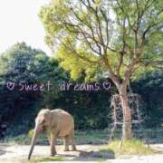 菅野みずほ 今夜も? MADAM