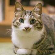 ヒメ日記 2025/11/12 15:15 投稿 城之内まり(じょうのうちまり) Montrachet(モンラッシェ)