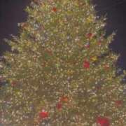 ヒメ日記 2025/12/23 01:05 投稿 城之内まり(じょうのうちまり) Montrachet(モンラッシェ)