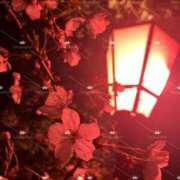 ヒメ日記 2025/04/11 18:56 投稿 滝沢真紀 皇帝別館（こうていべっかん）