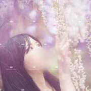 ヒメ日記 2025/05/13 21:16 投稿 滝沢真紀 皇帝別館（こうていべっかん）