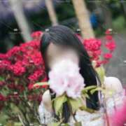 ヒメ日記 2025/05/19 16:56 投稿 滝沢真紀 皇帝別館（こうていべっかん）