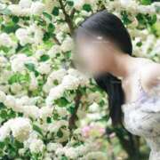 ヒメ日記 2025/05/19 21:28 投稿 滝沢真紀 皇帝別館（こうていべっかん）