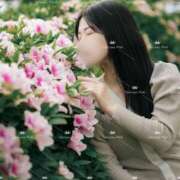 ヒメ日記 2025/05/24 15:47 投稿 滝沢真紀 皇帝別館（こうていべっかん）