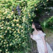 ヒメ日記 2025/06/14 09:16 投稿 滝沢真紀 皇帝別館（こうていべっかん）