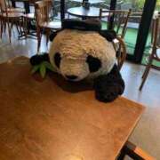 ヒメ日記 2025/09/08 00:56 投稿 滝沢真紀 皇帝別館（こうていべっかん）