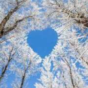 ヒメ日記 2025/03/22 12:04 投稿 姫野 パンドラ（吉原）