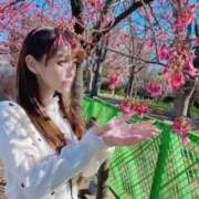 ヒメ日記 2025/04/05 17:01 投稿 姫野 パンドラ（吉原）