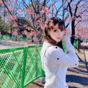 ヒメ日記 2025/04/25 10:02 投稿 姫野 パンドラ（吉原）