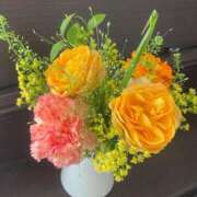 ヒメ日記 2025/04/27 16:02 投稿 姫野 パンドラ（吉原）