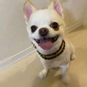 ヒメ日記 2025/06/09 15:01 投稿 姫野 パンドラ（吉原）