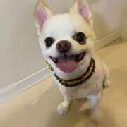 ヒメ日記 2025/06/19 17:10 投稿 姫野 パンドラ（吉原）