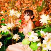 ヒメ日記 2025/07/28 19:31 投稿 姫野 パンドラ（吉原）