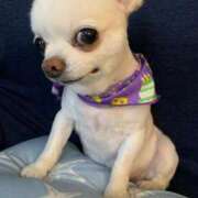 ヒメ日記 2025/10/16 17:00 投稿 姫野 パンドラ（吉原）