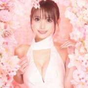 ヒメ日記 2026/03/14 08:13 投稿 姫野 パンドラ（吉原）