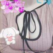 ヒメ日記 2025/11/19 10:52 投稿 七海 池袋角海老