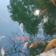 ヒメ日記 2025/03/09 11:19 投稿 環奈(かんな) エッチな熟女(広島)