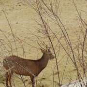 ヒメ日記 2025/05/21 07:30 投稿 環奈(かんな) エッチな熟女(広島)