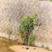 ヒメ日記 2025/07/05 11:26 投稿 環奈(かんな) エッチな熟女(広島)