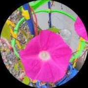 ヒメ日記 2025/10/02 12:44 投稿 環奈(かんな) エッチな熟女(広島)