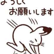 ヒメ日記 2025/12/04 11:50 投稿 環奈(かんな) エッチな熟女(広島)