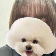 ヒメ日記 2025/03/05 20:38 投稿 まゆは 京都BOOK MARK（ブックマーク）