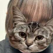 ヒメ日記 2025/04/14 01:38 投稿 まゆは 京都BOOK MARK（ブックマーク）