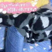 ヒメ日記 2025/04/16 20:58 投稿 まゆは 京都BOOK MARK（ブックマーク）