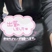 ヒメ日記 2025/04/24 18:04 投稿 まゆは 京都BOOK MARK（ブックマーク）