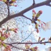 ヒメ日記 2025/04/06 10:59 投稿 高城　しおり OLセレクション宇都宮店