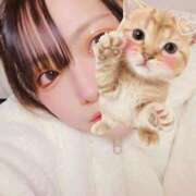 ヒメ日記 2025/04/09 09:14 投稿 高城　しおり OLセレクション宇都宮店