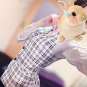 ヒメ日記 2025/07/24 16:37 投稿 高城　しおり OLセレクション宇都宮店