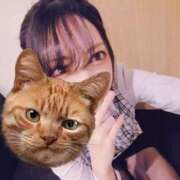 ヒメ日記 2026/02/21 12:12 投稿 高城　しおり OLセレクション宇都宮店