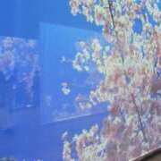 ヒメ日記 2026/02/25 16:24 投稿 高城　しおり OLセレクション宇都宮店