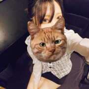 ヒメ日記 2026/02/27 13:34 投稿 高城　しおり OLセレクション宇都宮店