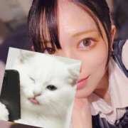 ヒメ日記 2026/03/30 20:24 投稿 高城　しおり OLセレクション宇都宮店