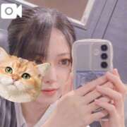 ヒメ日記 2026/03/31 12:19 投稿 高城　しおり OLセレクション宇都宮店