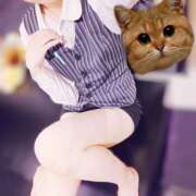 ヒメ日記 2026/03/31 13:35 投稿 高城　しおり OLセレクション宇都宮店