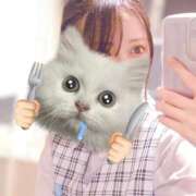 ヒメ日記 2026/04/08 12:15 投稿 高城　しおり OLセレクション宇都宮店