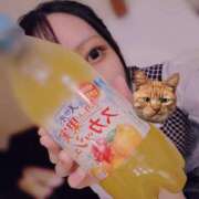 ヒメ日記 2026/04/27 14:04 投稿 高城　しおり OLセレクション宇都宮店