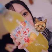 ヒメ日記 2026/04/27 14:14 投稿 高城　しおり OLセレクション宇都宮店