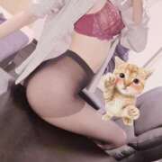 ヒメ日記 2026/08/07 09:39 投稿 高城　しおり OLセレクション宇都宮店