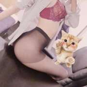 ヒメ日記 2026/08/08 12:13 投稿 高城　しおり OLセレクション宇都宮店