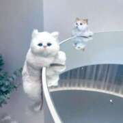 ヒメ日記 2025/04/22 20:17 投稿 叶谷 くらら アロマージュ大宮